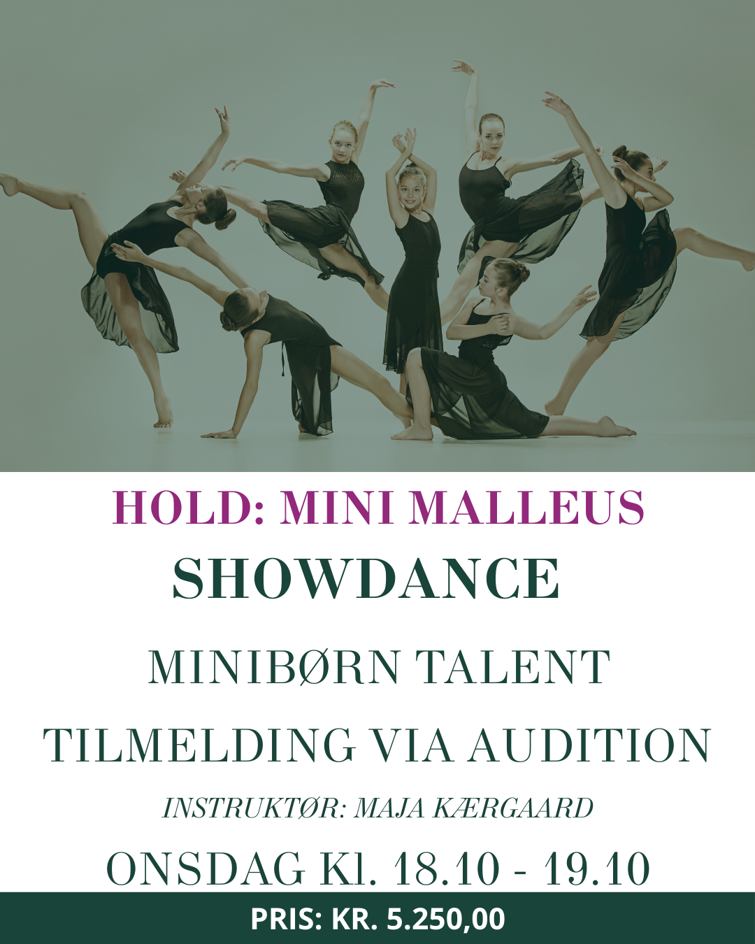 Audition til Showdance MiniBørn